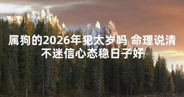 属狗的2026年犯太岁吗 命理说清不迷信心态稳日子好